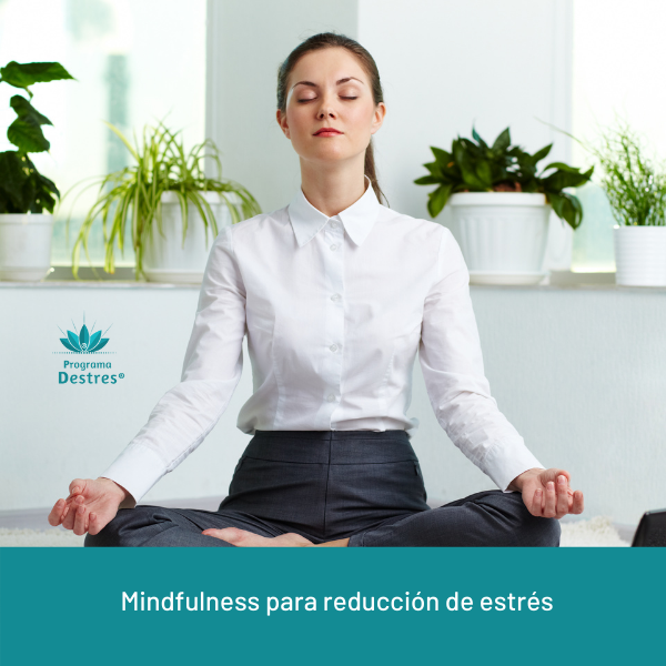 Curso Mindfulness para reducción de estrés